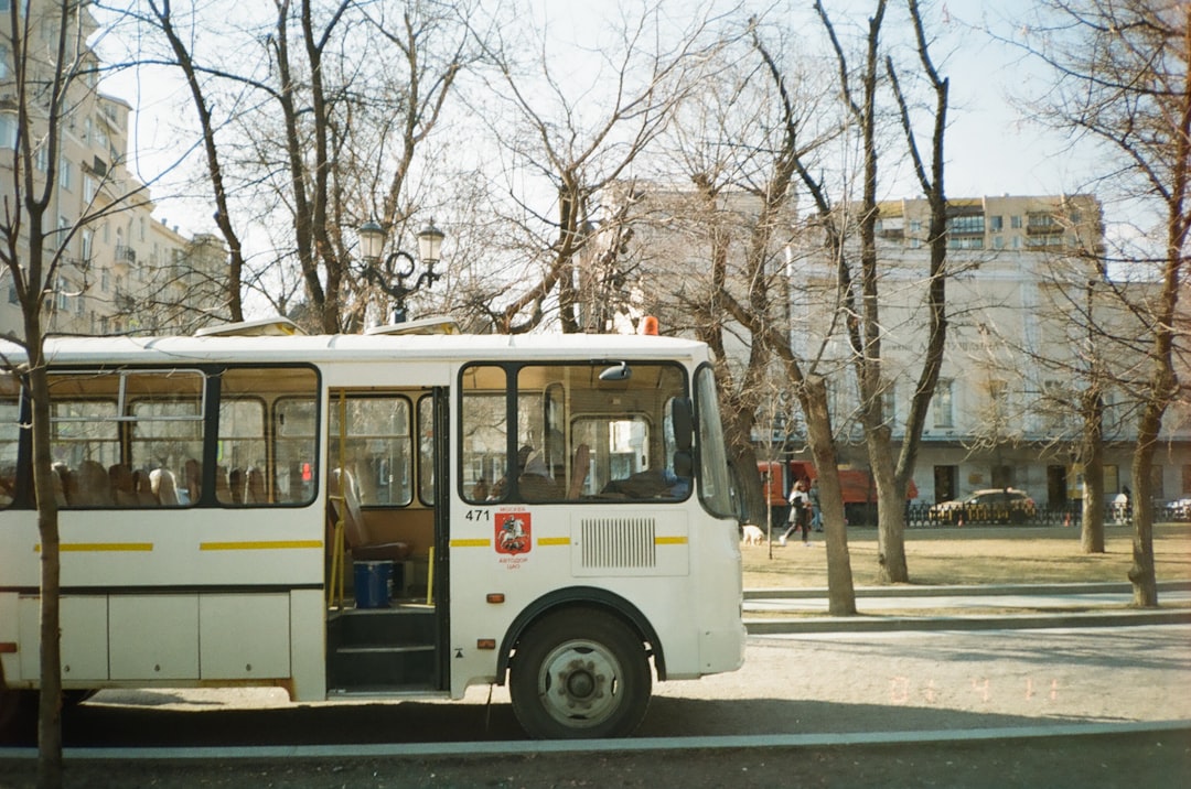 white-and-red-bus-on-road-during-daytime-qparomm-m1y